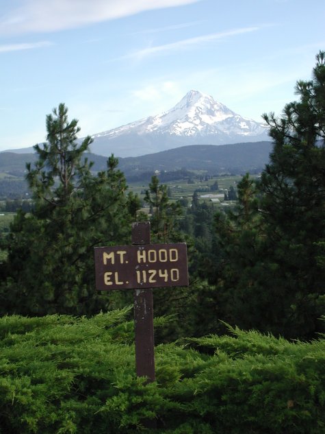 Mount Hood at Panarama Point