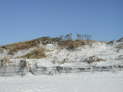 Sand dunes in the panhandle of Florida