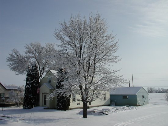 closer shot of your front yard