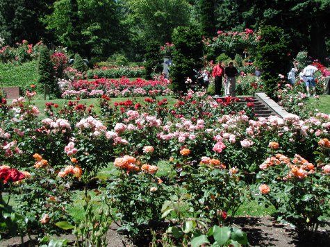 International  Rose Test Gardens