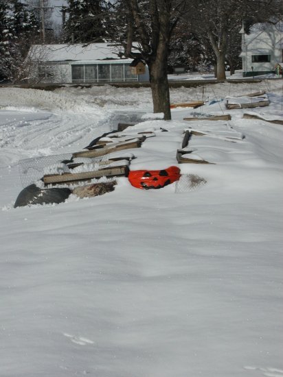 closer shot of south rosebed