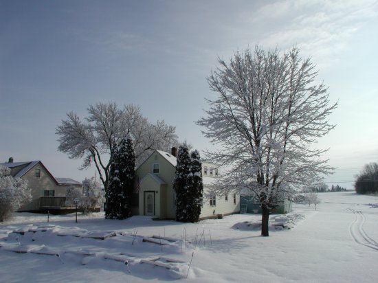 another shot of our front yard