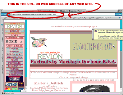 image of web browser showing web page and url.