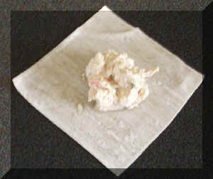 wonton1.jpg (27624 bytes)