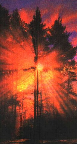 Integr~1.jpg (28298 bytes)