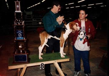 National Grand Show Champion 'PR' Ozark Mountain Lil'l Rebel