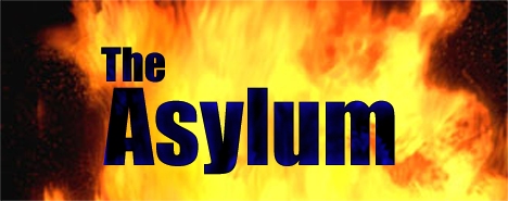 'The Asylum' Picture Designed by Jason Guzzo (c) all rights reserved.