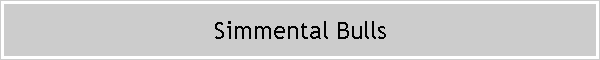 Simmental Bulls