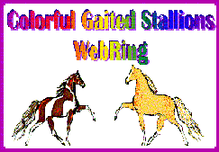 Welcome to the Colorful Gaited Stallions WebRing Homepage