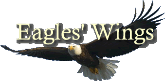 Eagles Wings title