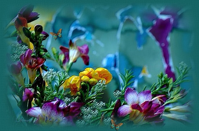 Summer Fantasy picture