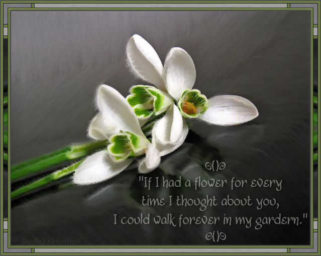 � Sindy's Creations