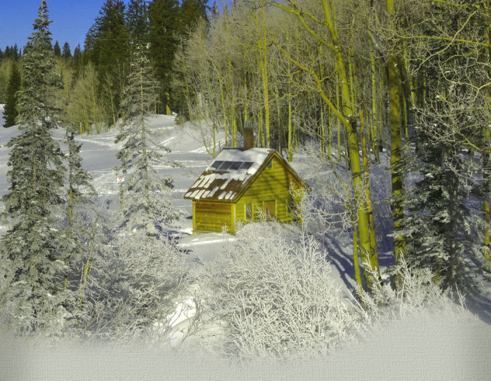 moonandbackgraphicsdeepintheforest