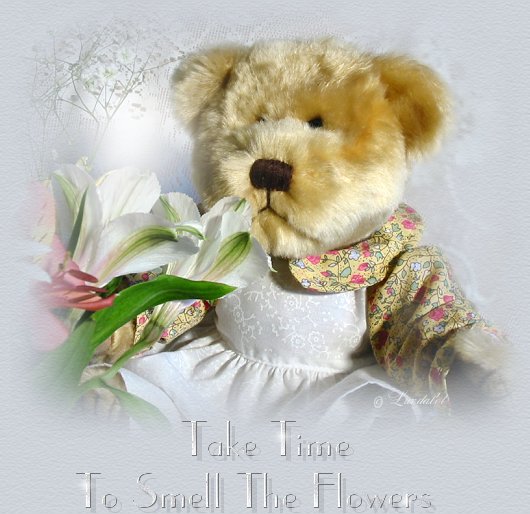 Digital photo, graphics and design &copy;  2006 Luvdalot Graphics & Design