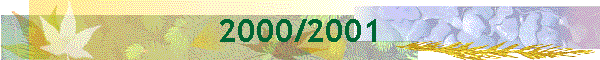2000/2001