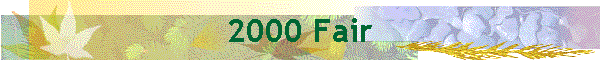 2000 Fair