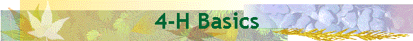 4-H Basics
