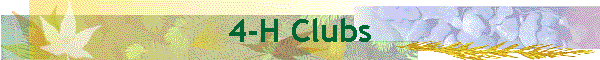 4-H Clubs