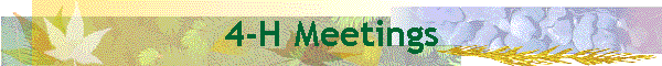 4-H Meetings