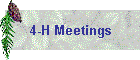 4-H Meetings