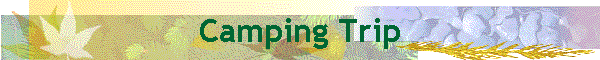 Camping Trip