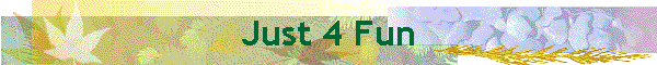 Just 4 Fun