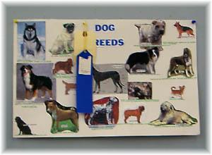 Dog Breeds Poster (jpg)