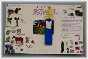 Horse Information Poster (jpg)