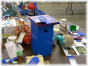 Bluebird House (jpg)