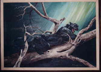 Click for Enlargement