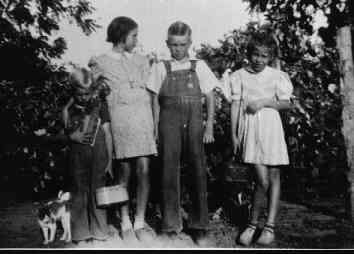 Click for Enlargement