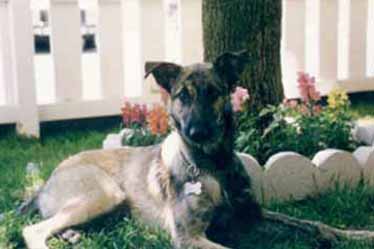 I love my picture taken with flowers