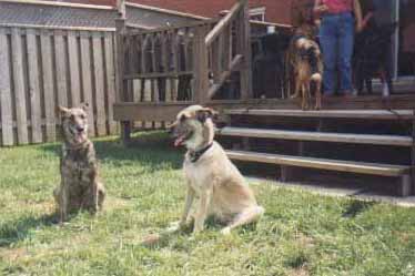 Sister it is so good to see you