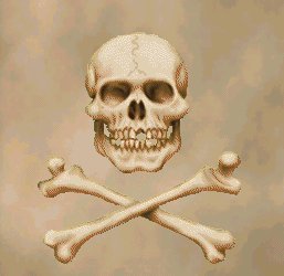 Tha' Skull 'N' Crossbones...Y'Arrr