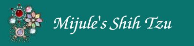 Welcome to Mijule's Shih Tzu!