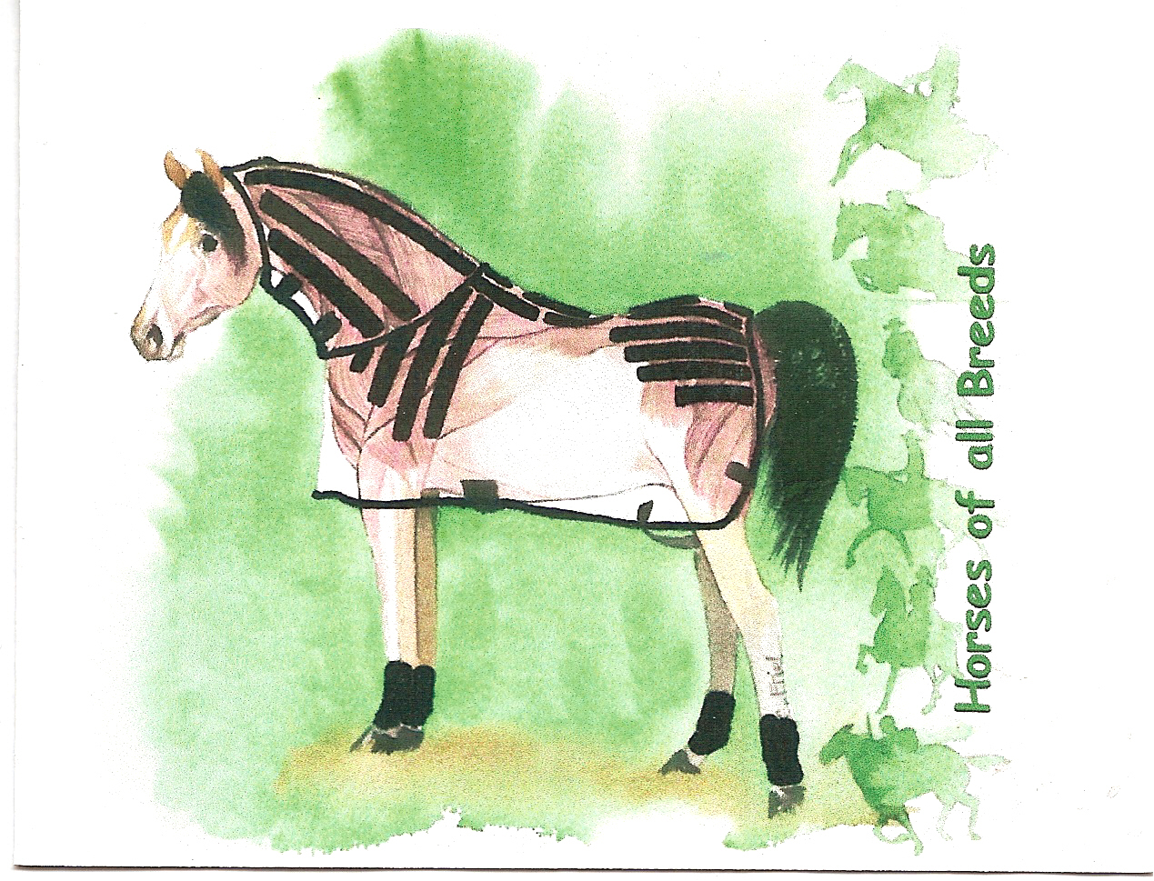 Blanket for Horses ProActive for Horses and Humans