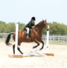 <h5><b>Jumping in the Show Ring