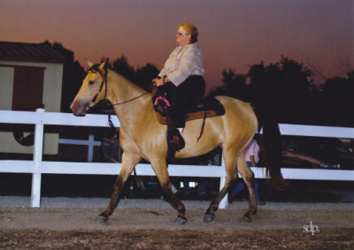 Nova-Longview Horse Show 8-2009