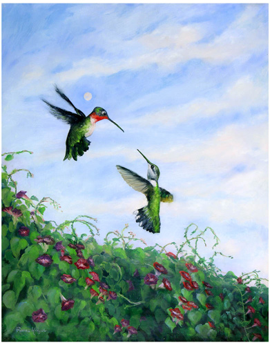 Dance of the Hummingbirds
