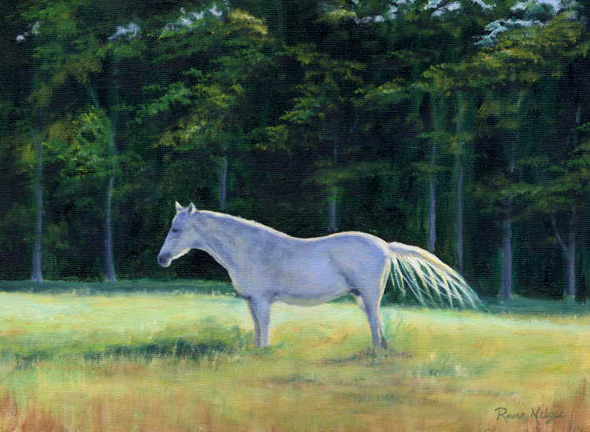 White Horse in Field