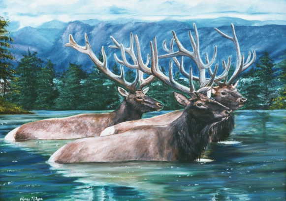 Elk Buck limited edition print