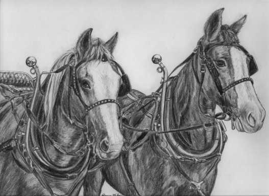 Joe & Bill limited edition print