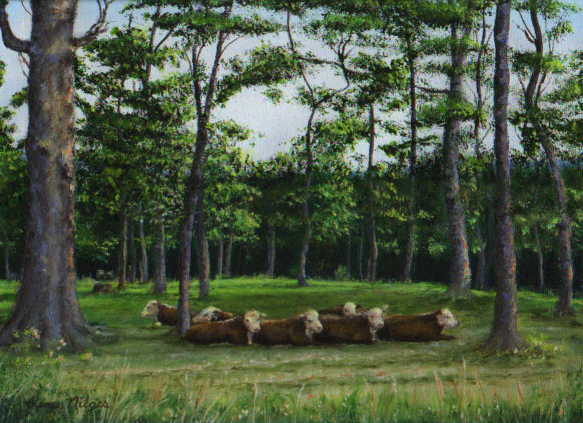 Line of Bull limited edition print