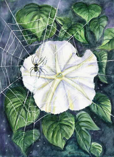 Spinning the Moon Flower