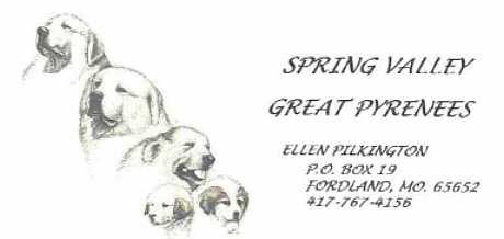 PYRLET2.jpg (9475 bytes)