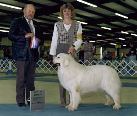 pearl.jpg (22886 bytes)