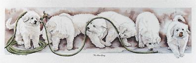 pyrgraphic.jpg (12064 bytes)