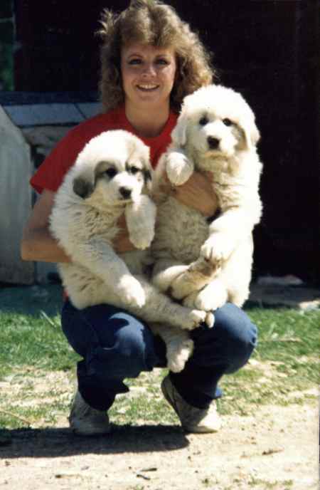 pyrpups7.jpg (23855 bytes)