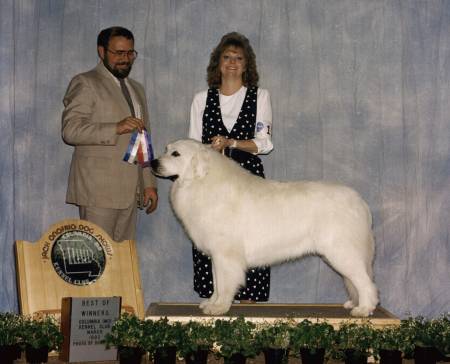 speck.jpg (23426 bytes)