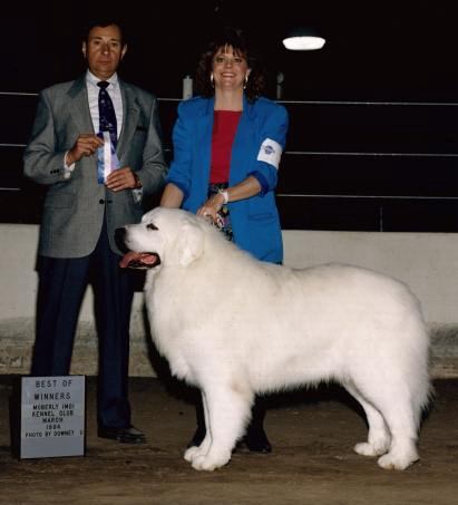 theeyes.jpg (22034 bytes)